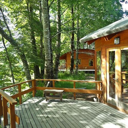 Villa Patagonia Mawida Neltume Exterior foto