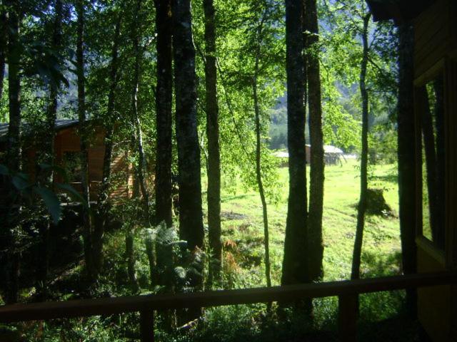 Villa Patagonia Mawida Neltume Exterior foto