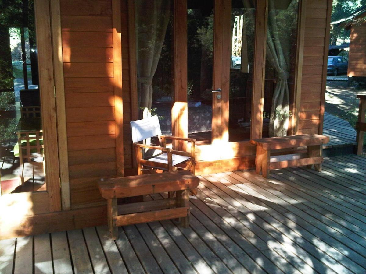Villa Patagonia Mawida Neltume Exterior foto