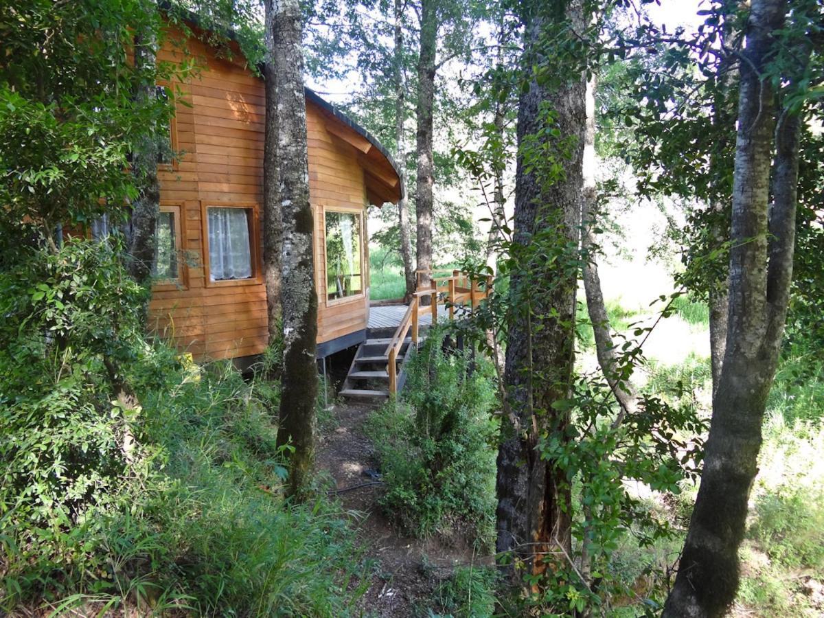 Villa Patagonia Mawida Neltume Exterior foto