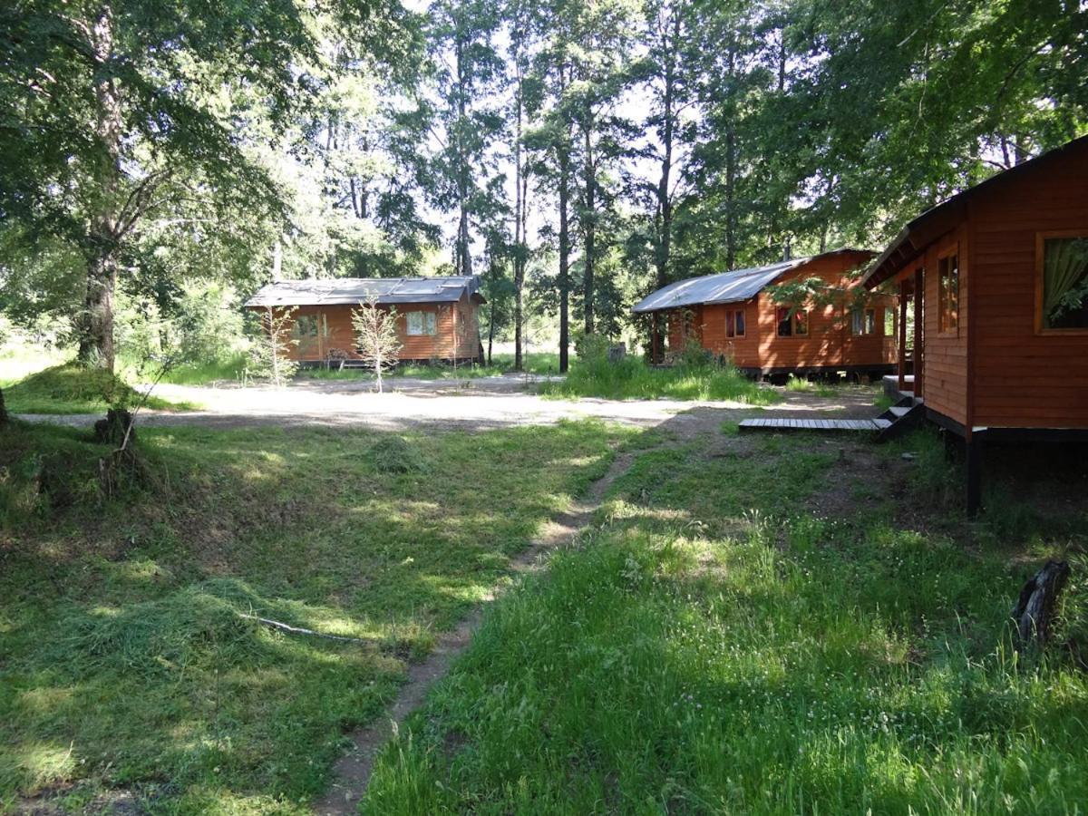 Villa Patagonia Mawida Neltume Exterior foto